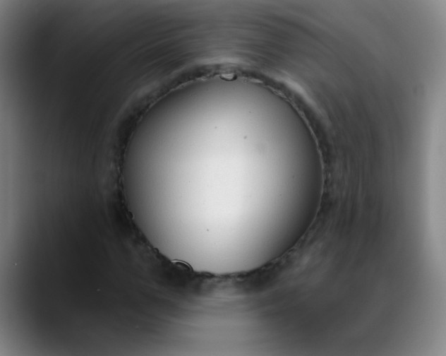 X0000089880967200707121809