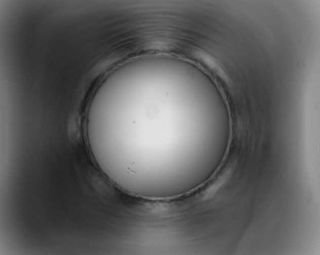 X0000089880970200707121809