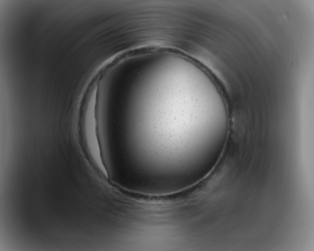 X0000089880972200707121809