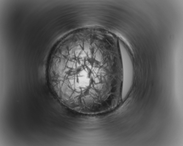 X0000089880975200707121809