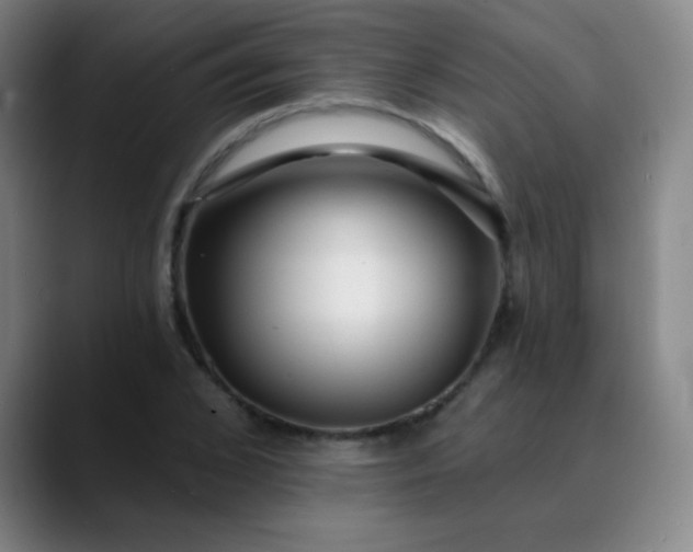 X0000089880976200707121809