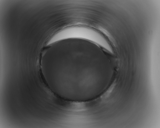 X0000089880977200707121809