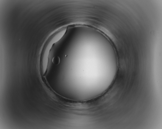 X0000089880980200707121809