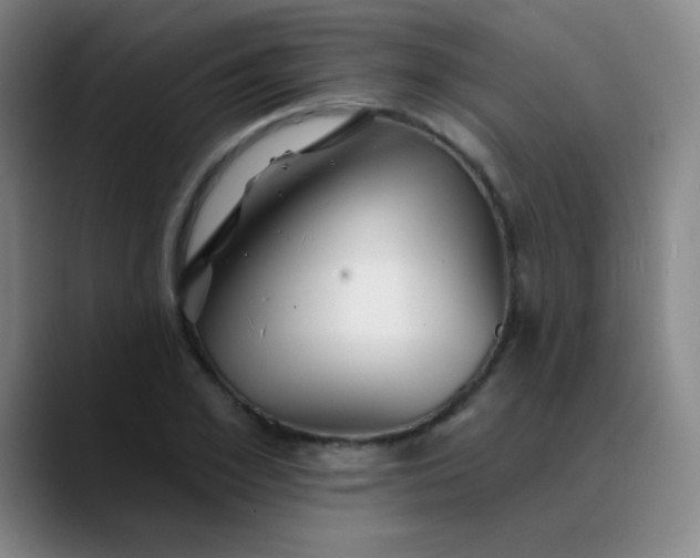 X0000089880981200707121809