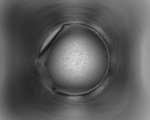 X0000089880985200707121809