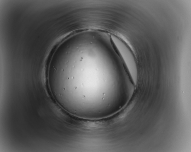 X0000089880987200707121809