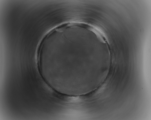 X0000089880990200707121809