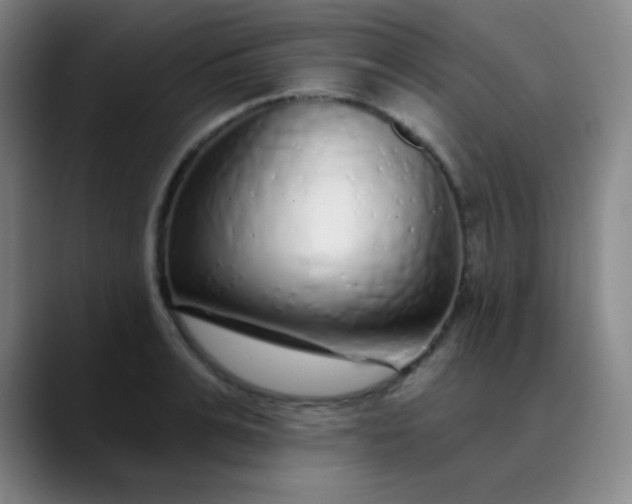 X0000089880991200707121809