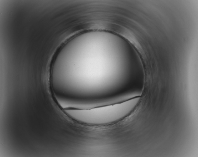 X0000089880992200707121809