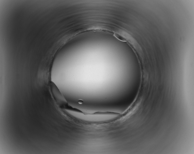 X0000089880993200707121809