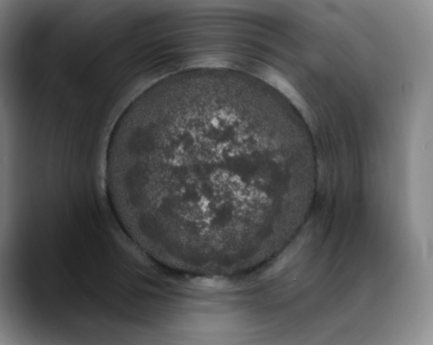 X0000089880994200707121809