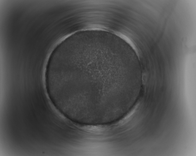 X0000089880995200707121809