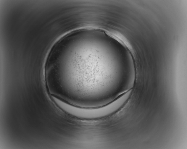 X0000089880996200707121809