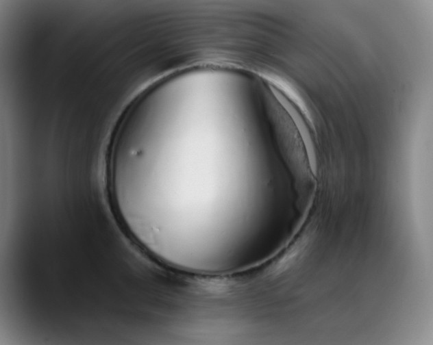 X0000089880999200707121809