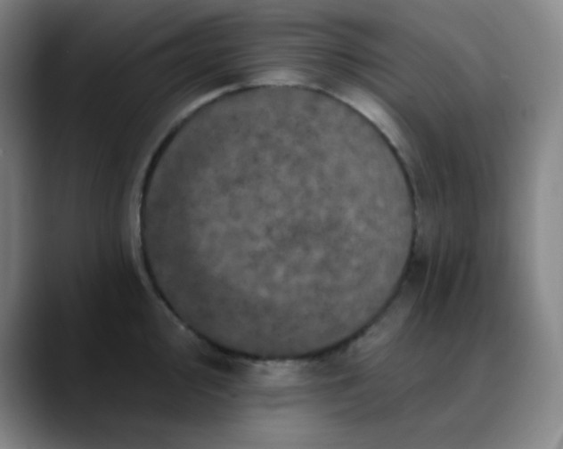 X0000089881000200707121809