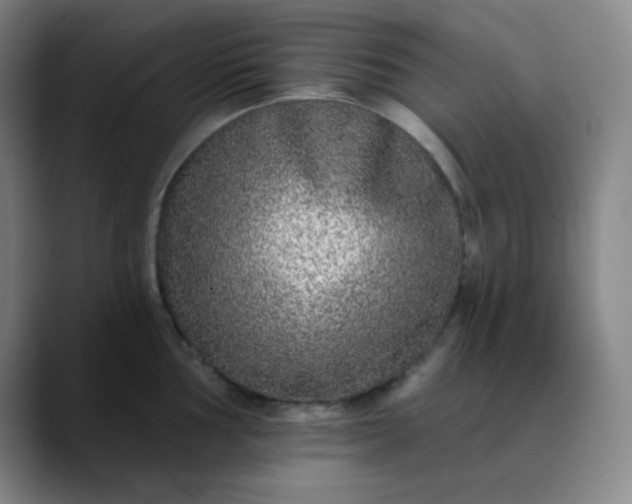 X0000089881002200707121809