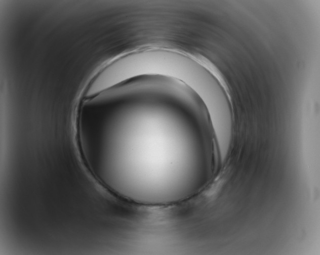 X0000089881005200707121809