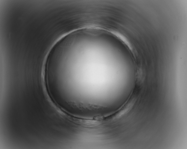 X0000089881007200707121809