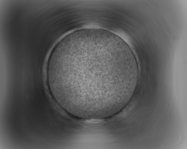 X0000089881008200707121809