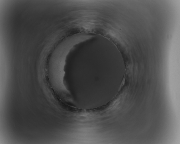 X0000089881009200707121808