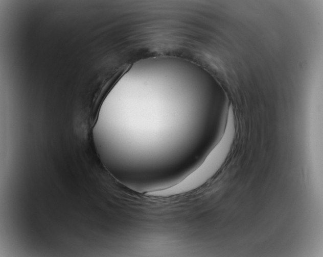 X0000089881012200707121808