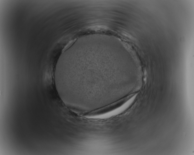 X0000089881014200707121808