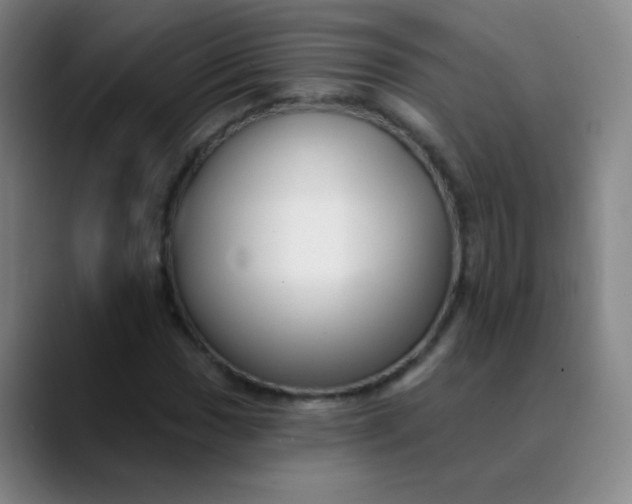 X0000089881017200707121808