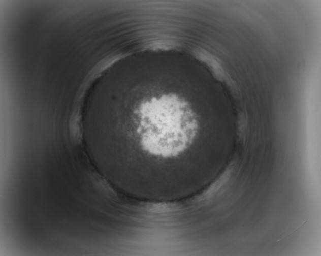 X0000089881018200707121808