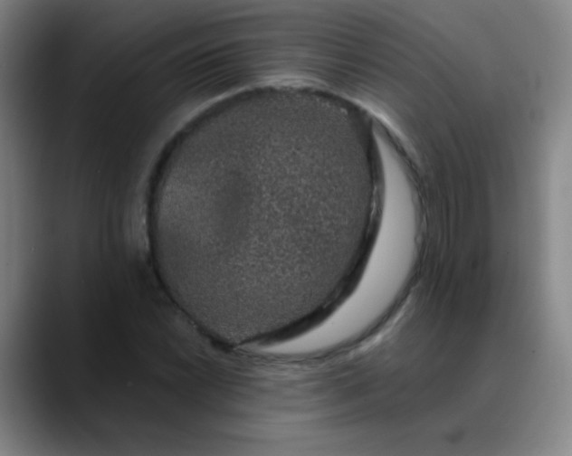 X0000089881022200707121808