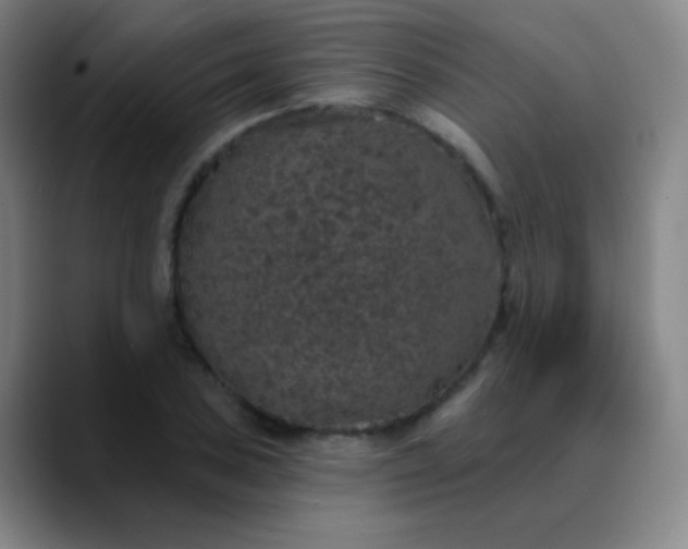 X0000089881027200707121809