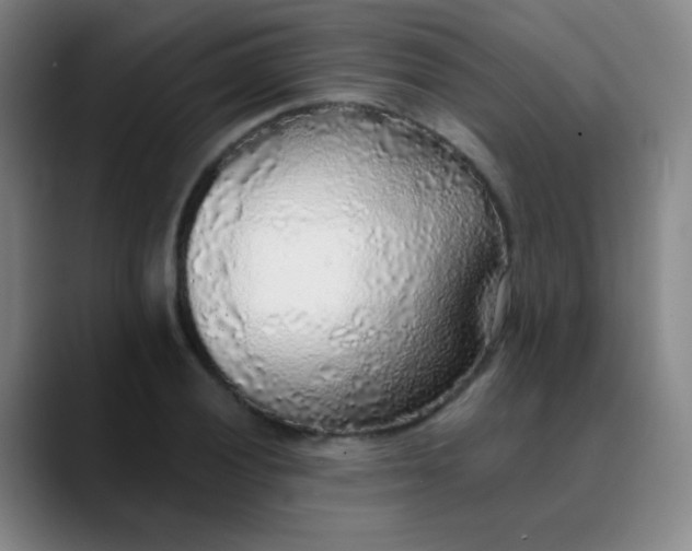 X0000089881028200707121809