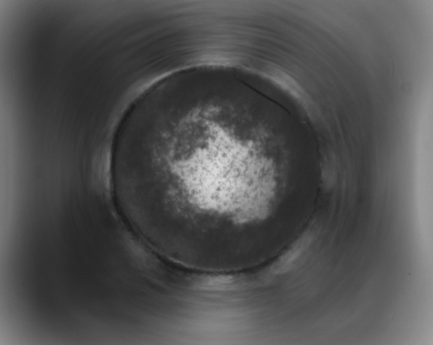 X0000089881030200707121809