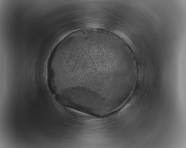 X0000089881031200707121809