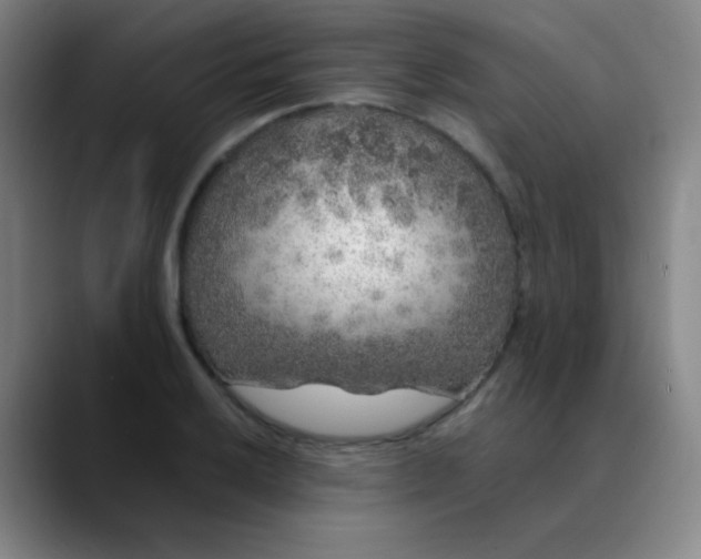 X0000089881032200707121809