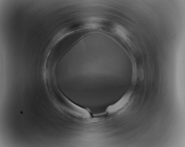 X0000089881034200707121809