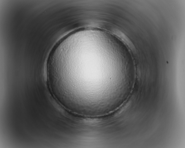 X0000089881036200707121809