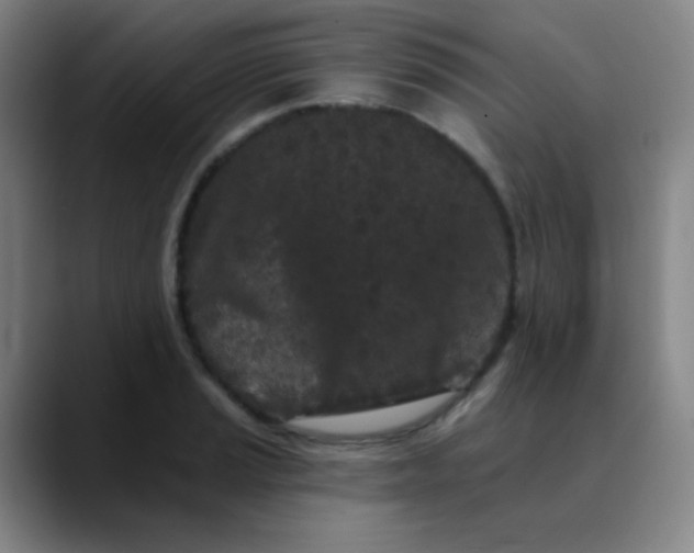 X0000089881037200707121809