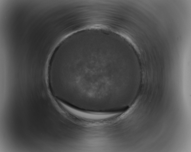 X0000089881038200707121809