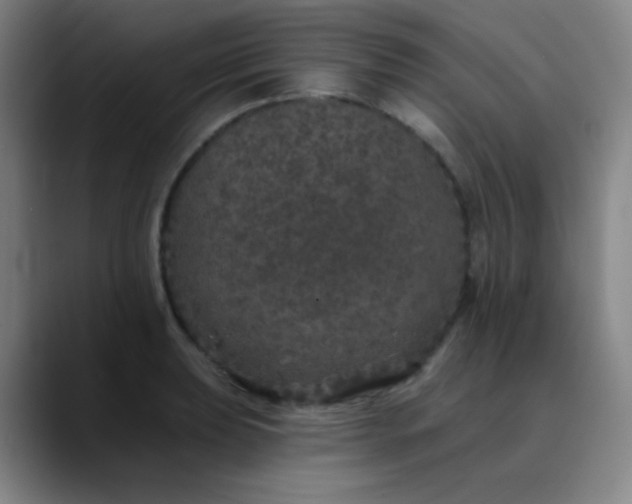 X0000089881039200707121809