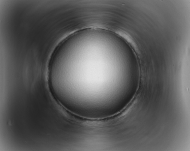 X0000089881040200707121809