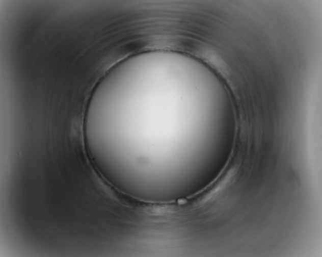 X0000089881041200707121809