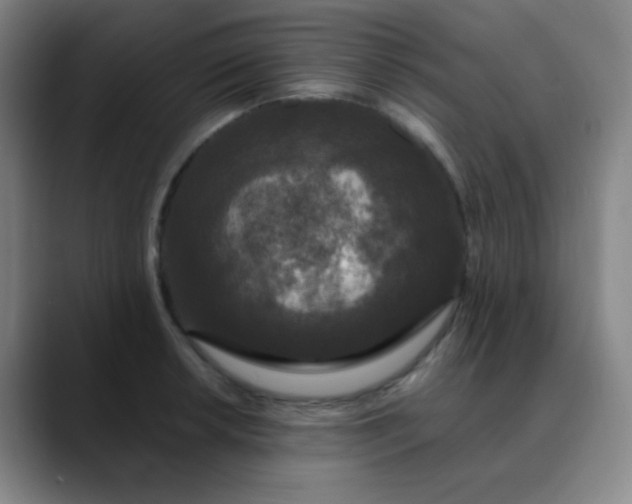 X0000089881042200707121809