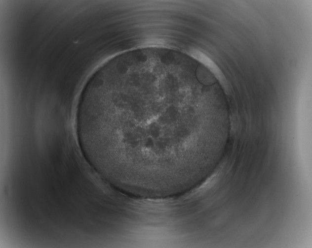 X0000089881043200707121809