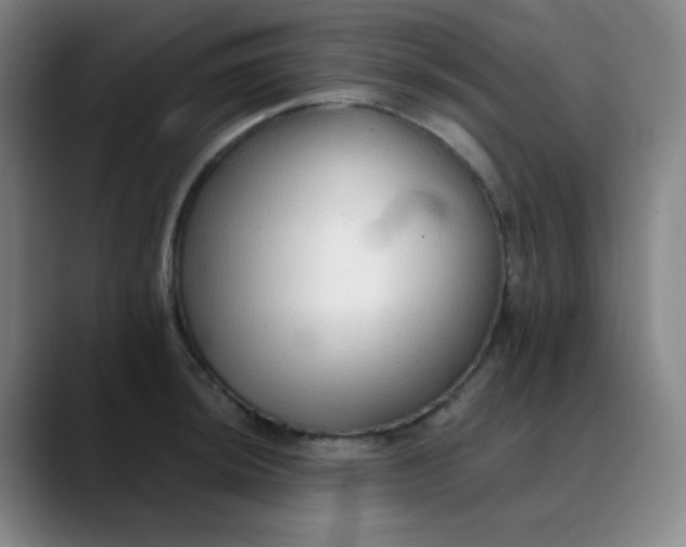 X0000089881044200707121809