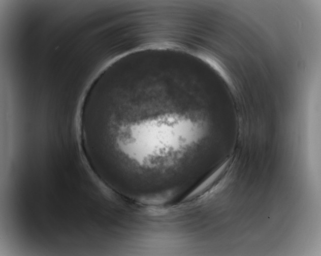 X0000089881046200707121809