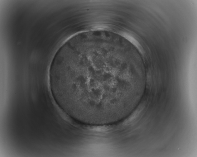 X0000089881047200707121809