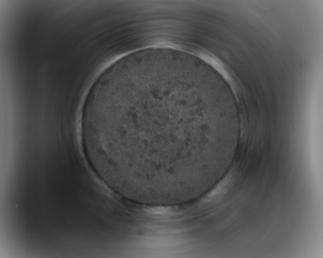 X0000089881048200707121809