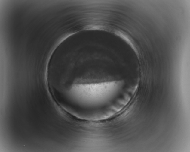 X0000089881050200707121809