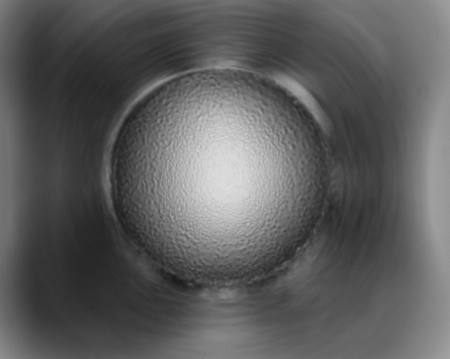 X0000089881051200707121809