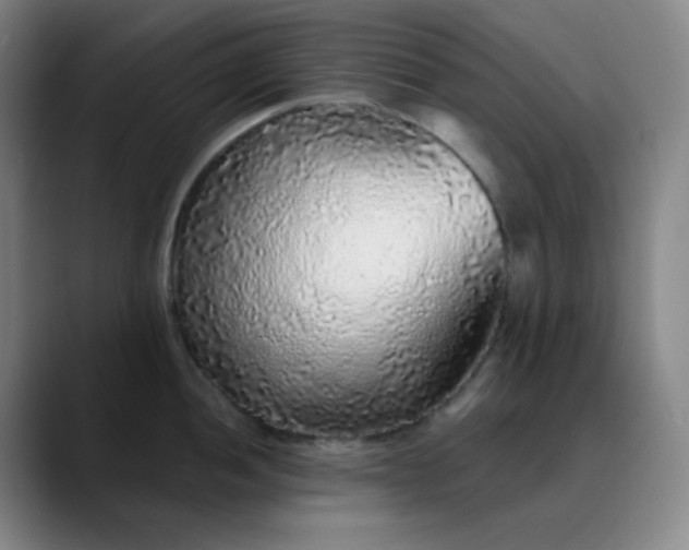 X0000089881052200707121809